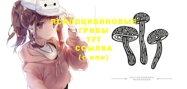 первитин Каменка