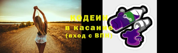 первитин Каменка