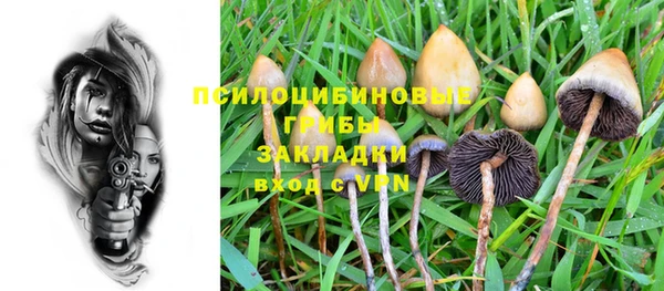 первитин Каменка