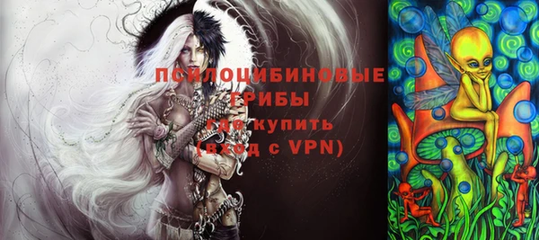 ешки Каменногорск
