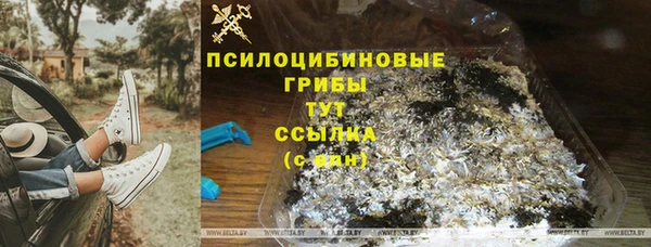 первитин Каменка
