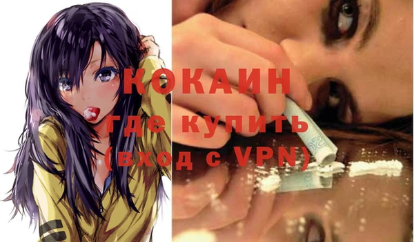 первитин Каменка