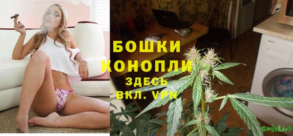 apvp Инсар