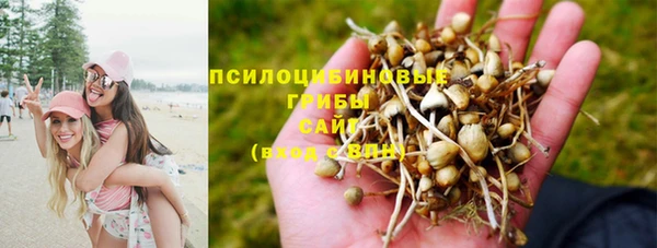 ешки Каменногорск